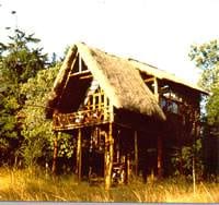 A Perfect Escape :: Your Treehouse in Africa