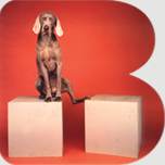 Dogs of Art:  The Brooklyn Museum of Art’s Varied Appeal