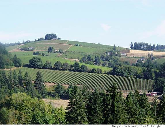 A Penultimate Pinot Noir: Willamette Valley, Oregon