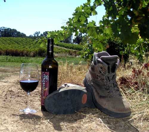 From the Hiking Trail to the Tasting Room :: California Wine Hikes