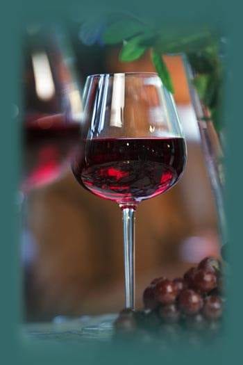 I’m So Used to Just Whipping it Out :: Visa Wine Tastings