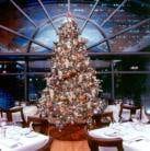 Merry Christmas to All From Vagablond