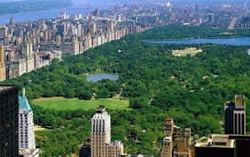 A Big Apple Culinary Tour :: New York Bites