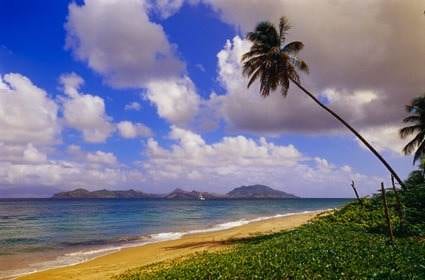 Revive Your Love Life with Natural Beach Beauties.