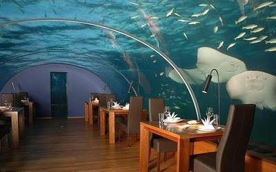 Experience a grand meal 5 meters below sea level at Ithaa, a restaurant under the sea.