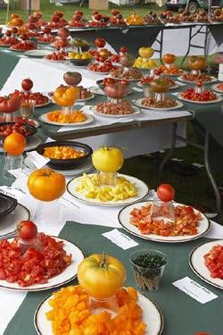 One Tomato, Two Tomato, Three Tomato, Four :: NatureSweet Carmel TomatoFest®, Carmel, CA