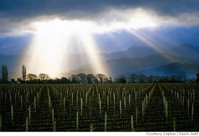 Bottom’s Up With Kiwi Wine: New Zealand