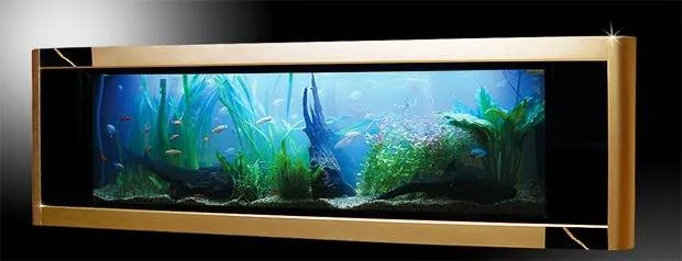 A Historical Aquavista Panoramic Wall Aquarium in a gold frame on a black background.
