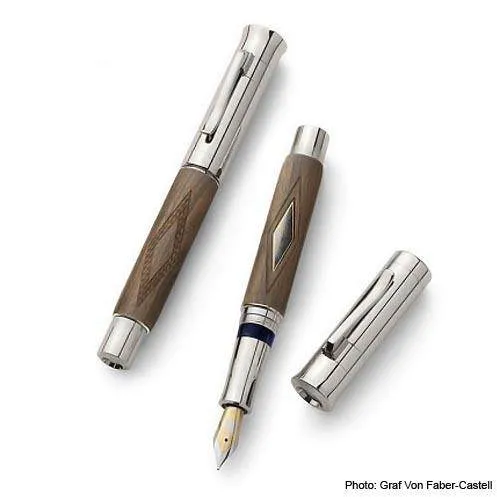 Two fountain pens on a white surface showcasing the Writing Instrument of the Decade.