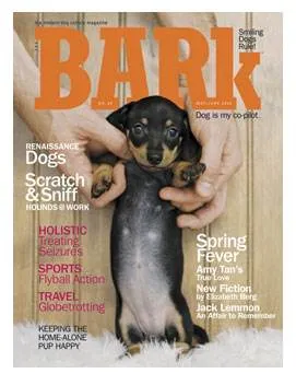 Going To The Dogs: W Hotel, San Francisco