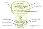 wine label