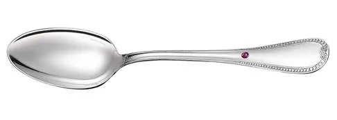 A silver spoon.