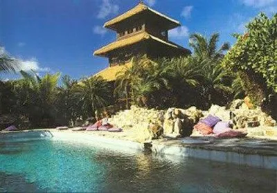 Opulent pool with a palm tree.