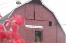A red barn with red leaves in front of it is the setting for the 1st Annual Steak and Eggs Lunch.