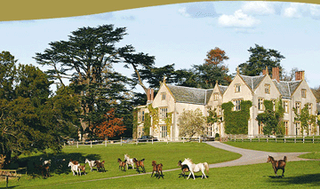 Combe House :: Devon, United Kingdom