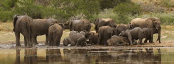 Ready for a REAL Adventure-Land Getaway? :: South Africa