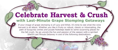 Planet Of The Grapes: Wine Crush Getaways from Site59