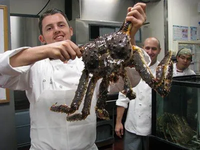 Alaskan king crab