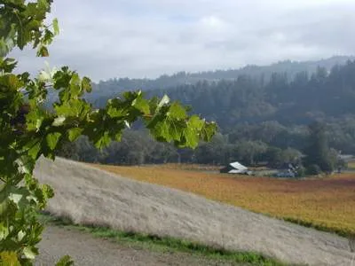 Weekend Wine Country Biking Trips: Zinfully Fun!