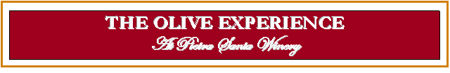 The Olive Experience :: Cienega Valley, CA