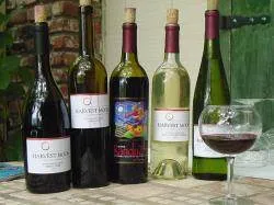 Rolling Barrels on The Russian River: NW Sonoma Wine Country, California