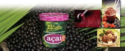 Ice Cream, You Scream: Belizza Açaí Sorbet