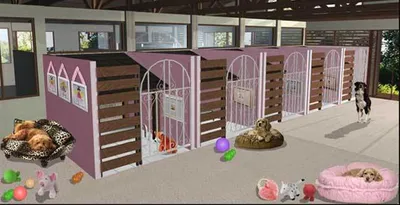 Pampering Pooches: PawPaws, Sydney, Australia