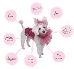 A Woof Over Your Head: Bark & White Ball, March 2, SF