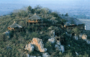 Party Hardy on Safari at Sir Richard Branson’s Ulusaba Private Game Reserve :: South Africa