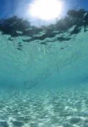 Wellness Through Water: Hydro Healing Spa: London