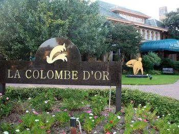 Taste the finest French cuisines at La Colombe in South Africa.