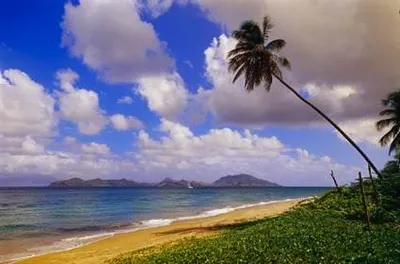 Revive Your Love Life with Natural Beach Beauties.