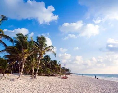 Romantic Dinner in La Zebra