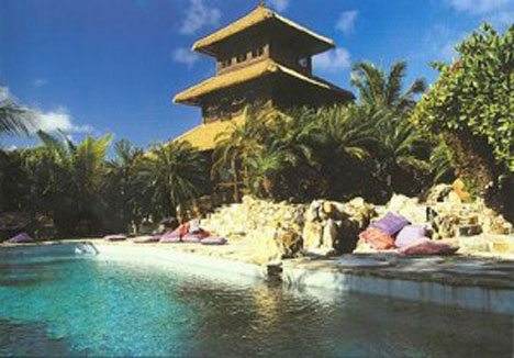 Opulent pool with a palm tree.