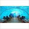 Shark Tale: Hilton Maldives Resort & Spa