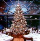 Merry Christmas to All From Vagablond