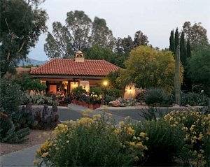 A desert house with saguaro cactus and Canyon Ranch vibes in Tucson.