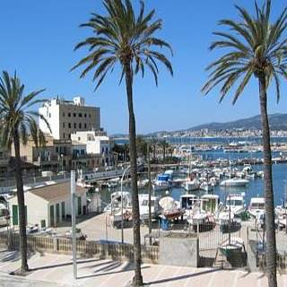 A view of a marina with palm trees and boats, perfect for your EasyJet to the sun.